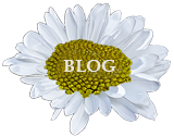 Daisy blog icon
