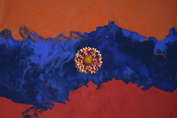 Satin - Mixed media art depicting an orange and red flower on a blue satin background.