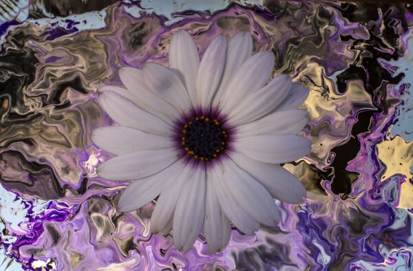 White Daisy - Mixed media art showing a white daisy against a purple psychedelic acrylic background.