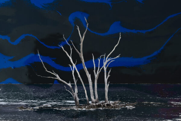 Drifting in a Different Night - An island of dead trees drifting through a strange night.